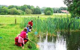 Was tummelt sich alles im Teich?